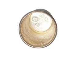 GÜMÜŞ TERZİ YÜKSÜĞÜ