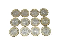 2019 ANADOLU'YA ÖZGÜ KUŞLAR SERİSİ HATIRA PARA SETİ