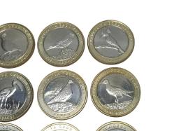 2019 ANADOLU'YA ÖZGÜ KUŞLAR SERİSİ HATIRA PARA SETİ