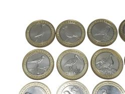 2019 ANADOLU'YA ÖZGÜ KUŞLAR SERİSİ HATIRA PARA SETİ