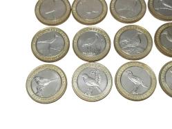 2019 ANADOLU'YA ÖZGÜ KUŞLAR SERİSİ HATIRA PARA SETİ