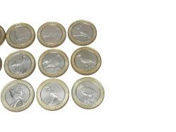 2019 ANADOLU'YA ÖZGÜ KUŞLAR SERİSİ HATIRA PARA SETİ