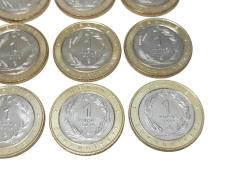 2019 ANADOLU'YA ÖZGÜ KUŞLAR SERİSİ HATIRA PARA SETİ