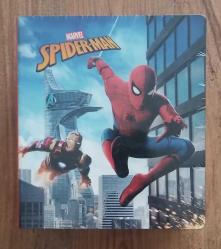 Örümcek Adam ve Demir Adam Görselli Ahşap Kumbara