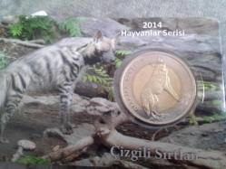 Çizgili zırtlan özel kitinde