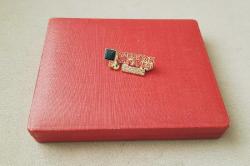 ESKİ - AMERİKAN HASTANESİ ROZETİ - MADALYA C3160