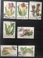 RUSYA- SOVYETLER BİRLİĞİ ÇİÇEK KONULU PULLAR KARIŞIK DAMGALI p399