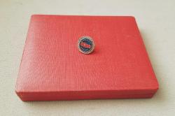 BELEDİYE BAŞKANI ROZETİ - MADALYA C3164