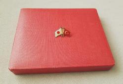 TÜRKİYE - JAPONYA BAYRAK ROZETİ - MADALYA C3173