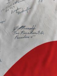 2. Dünya Savaşı Pasifik Cephesi Peleliu Muharrebesi İpek Japon Bayrak