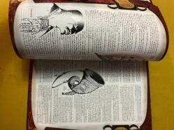 DUNGEDON MASTER Guide DUNGEONS & DRAGONS&