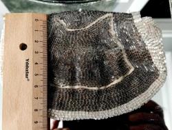 BONCUK İŞİ ANTİKA ÇANTA