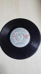 GÜLDEN KARABÖCEK NEM KALDI BİTMEK TÜKENMEZ 45 LİK PLAK