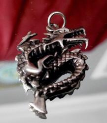 EJDERHA FORMUNDA GÜMÜŞ KOLYE UCU 7,39 GR