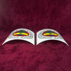 FENERBAHÇE SPOR KULÜBÜ 1907 BİR ÇİFT APLİK AYDINLATMA CAMLARI