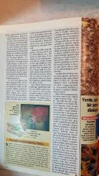 FOCUS, DÜNYAYI KEŞFETMEK VE ANLAMAK İÇİN DERGİSİ - EYLÜL 1995 SAYI: 9 - AHMET ERÇALIK - MEHMET YAŞIN - A. YETKİN İŞCEN - S. METE TÜRKBEN - DÂRÂ ÇOLAKOĞLU - İRFAN UNUTMAZ - MURAT BARDAKÇI - ÖMÜR GEDİK - MUSTAFA ŞAPÇI - ERKSİN GÜLEÇ - OĞUZ EROL - İBRAHİM ATALAY - GÜNDÜZ TEZMEN - YAŞAR AKSOY - ALPER ATEŞ - REHA ERUS - VURAL AHI - A. NEZİH ÖKTEM - AYŞEN AKAY - TARKAN İKİZLER - ŞEFİK KAHRAMANKAPTAN - ALİ YUMUŞAK - NEZİH AKKUTAY - İBRAHİM GÜL - ERDOĞAN SALGIRBOYU - HÜSEYİN ALKAN - FARUK ZABÇI - SAFTER YILMAZ - NERDUN HACIOĞLU - DOĞAN ULUÇ - MUAMMER ELVEREN - REHA ERUS - MURAT SARGIN - AYSUN BAYAZITOĞLU - ENDER YAKŞİ - SEDEF İPER - NIHÂL AYAN - NERGİS ARDA OK - ORHAN TAŞKIN - GÜMAN BİRİNCİOĞLU  FOCUS - DOSYA - GÖÇMEN KUŞLAR - EXCLUSIVE - İNSANIN EVRİMİNDEKİ KAYIP HALKA BULUNDU - SPOR - ANATOMİ - DERİNİN MUCİZELERİ - ARDIPITHECUS RAMIDUS - MARS - KIZIL GEZEGEN - YAPRAK DÖKÜMÜ - ATOLLER - TARİH - 9 EYLÜL 1922 - BOTANİK - TEKNİK - EKOLOJİ - ASTRONOMİ - KÜLTÜR - ANT  - TAM TAKIM EKSİKSİZ 98 SAYFA