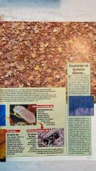 FOCUS, DÜNYAYI KEŞFETMEK VE ANLAMAK İÇİN DERGİSİ - EYLÜL 1995 SAYI: 9 - AHMET ERÇALIK - MEHMET YAŞIN - A. YETKİN İŞCEN - S. METE TÜRKBEN - DÂRÂ ÇOLAKOĞLU - İRFAN UNUTMAZ - MURAT BARDAKÇI - ÖMÜR GEDİK - MUSTAFA ŞAPÇI - ERKSİN GÜLEÇ - OĞUZ EROL - İBRAHİM ATALAY - GÜNDÜZ TEZMEN - YAŞAR AKSOY - ALPER ATEŞ - REHA ERUS - VURAL AHI - A. NEZİH ÖKTEM - AYŞEN AKAY - TARKAN İKİZLER - ŞEFİK KAHRAMANKAPTAN - ALİ YUMUŞAK - NEZİH AKKUTAY - İBRAHİM GÜL - ERDOĞAN SALGIRBOYU - HÜSEYİN ALKAN - FARUK ZABÇI - SAFTER YILMAZ - NERDUN HACIOĞLU - DOĞAN ULUÇ - MUAMMER ELVEREN - REHA ERUS - MURAT SARGIN - AYSUN BAYAZITOĞLU - ENDER YAKŞİ - SEDEF İPER - NIHÂL AYAN - NERGİS ARDA OK - ORHAN TAŞKIN - GÜMAN BİRİNCİOĞLU  FOCUS - DOSYA - GÖÇMEN KUŞLAR - EXCLUSIVE - İNSANIN EVRİMİNDEKİ KAYIP HALKA BULUNDU - SPOR - ANATOMİ - DERİNİN MUCİZELERİ - ARDIPITHECUS RAMIDUS - MARS - KIZIL GEZEGEN - YAPRAK DÖKÜMÜ - ATOLLER - TARİH - 9 EYLÜL 1922 - BOTANİK - TEKNİK - EKOLOJİ - ASTRONOMİ - KÜLTÜR - ANT  - TAM TAKIM EKSİKSİZ 98 SAYFA