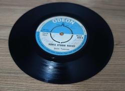 ŞEMSİ YASTIMAN-MEMLEKET HASRETİ