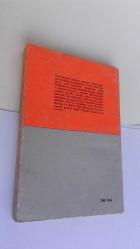 Kürk Mantolu Madonna