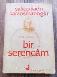 Bir Serencam Bütün Eserleri 13 Yakup Kadri Karaosmanoğlu  İLETİŞİM YAYINLARI