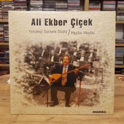 ALİ EKBER ÇİÇEK YOLUMUZ GURBETE DÜŞTÜ HAYDAR HAYDAR PLAK 33 LÜK JELATİNLİ
