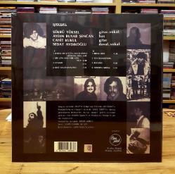 HARDAL NEREDEN NEREYE PLAK 33 LÜK JELATİNLİ