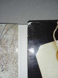 Cd Yıldız Tilbe Şivesi Sensin Aşkın albümü. Orijinal. Dinlemeyi etkilemeyen çizikler var. Sorunsuz çalışıyor.