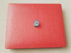 DDR - DOĞU ALMANYA SOSYALİST BİRLİK PARTİSİ ROZETİ - MADALYA C3197