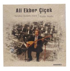 Ali Ekber Çiçek - Yolumuz Gurbete Düştü/Haydar Haydar