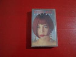 SEZEN AKSU GÜLÜMSE DÖNEM KASET