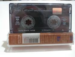 Daha Yolun Başındayım - Sibel Can