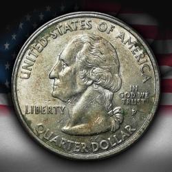 ABD 2001 YILI ¼ Dolar New York ÇÇT