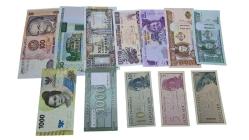 KARIŞIK YABANCI KAĞIT PARA LOTU ÇİL