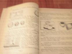 İLK OKULLAR İÇİN HAYAT BİLGİSİNE YARDIMCI KİTAP SINIF 2 '' 1 + 2 CİLT ''