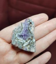 Taşlaşmış Ahşap Levha: Druzy Ametist, Renkli Bantlar - Ağırlık: 19g - Benzersiz Koleksiyonluk Nadir Parça