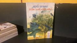 Sisin Sakladıkları