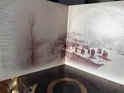 Zülfü Livaneli Zor Yıllar Plak