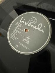 Zülfü Livaneli Zor Yıllar Plak