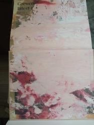 Jenny Saville - Ressam