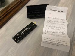 mini harmonica mızıka