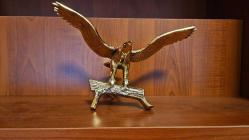 PİRİNÇ KARTAL  ( Kanatları açık )