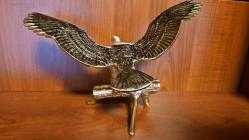 PİRİNÇ KARTAL  ( Kanatları açık )