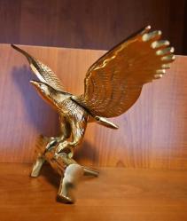 PİRİNÇ KARTAL  ( Kanatları açık )