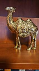 PİRİNÇ DEVE  ( Büyük boy ) BOYNU BÜKÜK