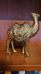 PİRİNÇ DEVE  ( Büyük boy ) BOYNU BÜKÜK