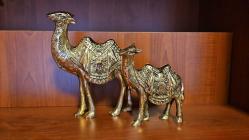 PİRİNÇ DEVE  ( Büyük boy ) BOYNU BÜKÜK