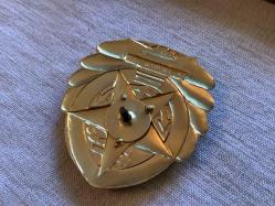 ÇİN DEVLET ARMASI ŞAPKA KOKARTI - MİNE KAPLAMALI