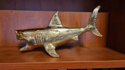 PİRİNÇ KÖPEK BALIĞI  ( JAWS )