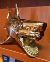 PİRİNÇ KÖPEK BALIĞI  ( JAWS )