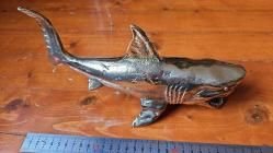 PİRİNÇ KÖPEK BALIĞI  ( JAWS )